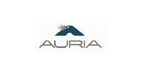 Auria Solutions GmbH